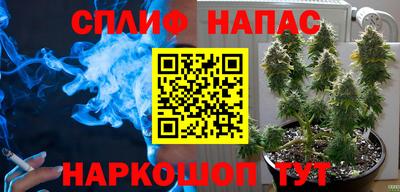гидропоника Пушкино