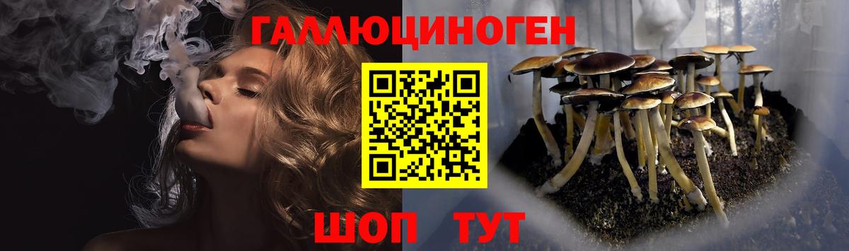 как найти   Псилоцибиновые грибы мицелий  Псилоцибиновые грибы мухоморы  Вход с VPN  Приморско-Ахтарск 